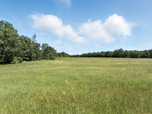 33498 175th St NE, Morrill Twp, MN 56329 - view of woods featuring a rural view