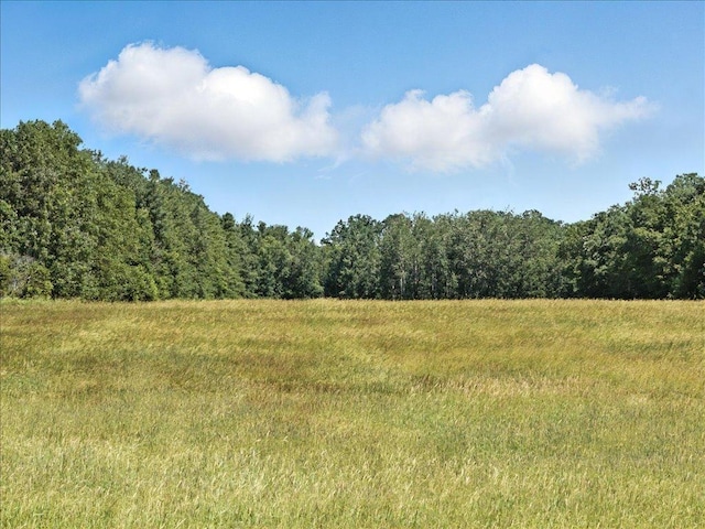 33498 175th St NE, Morrill Twp, MN 56329 - view of woods featuring a view of rural / pastoral area