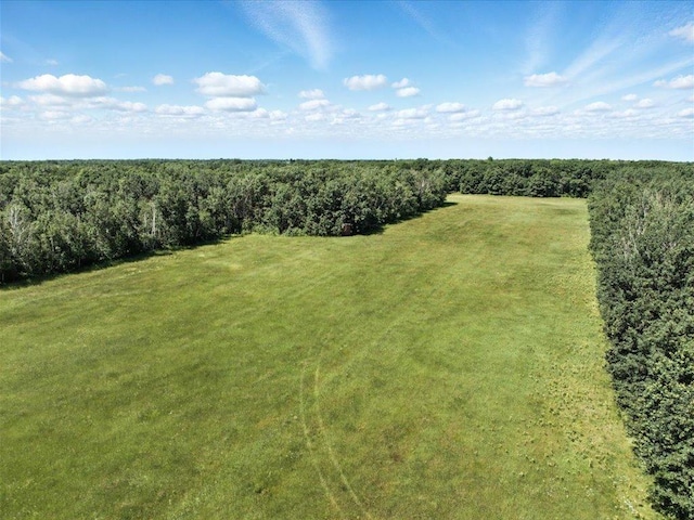 33498 175th St NE, Morrill Twp, MN 56329 - overview of rural landscape with a forest