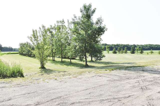 17886 State Highway 89, Wannaska, MN 56761 - photo 60