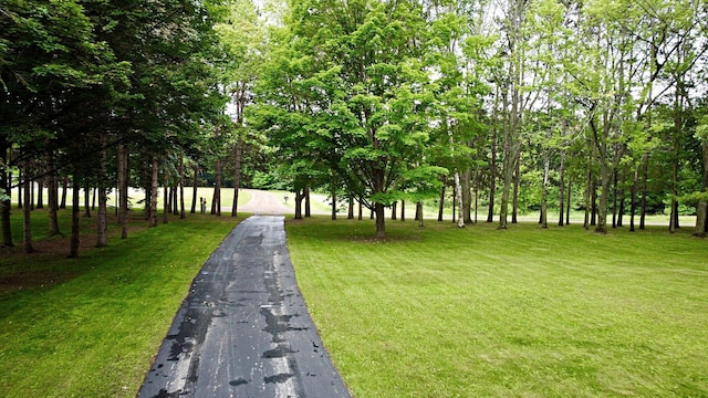 44512 276th Ln, Aitkin, MN 56431 - view of property's community featuring a yard