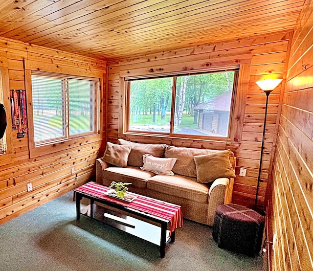 44512 276th Ln, Aitkin, MN 56431 - living area featuring healthy amount of natural light, wood walls, carpet, and wooden ceiling