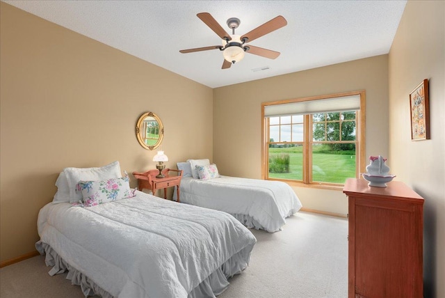 238 Muirfield Trl, Hudson, WI 54016 - bedroom featuring carpet and a ceiling fan