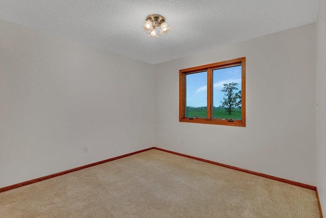 42767 190th Ave, Holding Twp, MN 56340 - spare room with light colored carpet and a textured ceiling