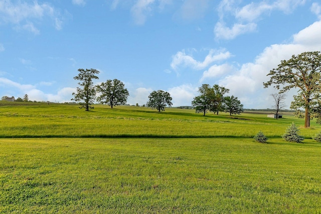 42767 190th Ave, Holding Twp, MN 56340 - view of green lawn with a view of rural / pastoral area