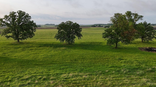 42767 190th Ave, Holding Twp, MN 56340 - view of green lawn featuring a view of rural / pastoral area