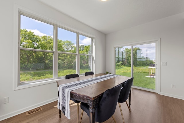 1977 Dahlia Dr, Shakopee, MN 55379 - photo 23
