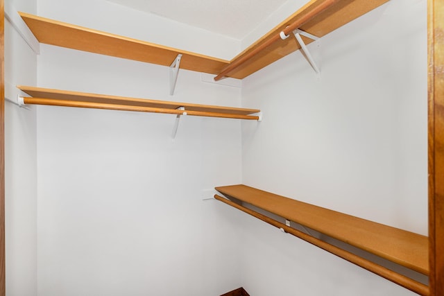 14381 Fairway Dr, Eden Prairie, MN 55344 - view of walk in closet