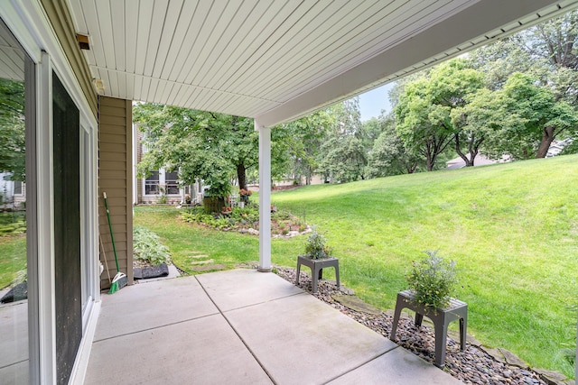 14381 Fairway Dr, Eden Prairie, MN 55344 - view of patio