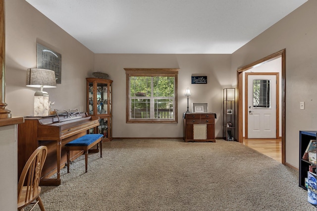 613 19th Ave SE, Saint Cloud, MN 56304 - photo 12