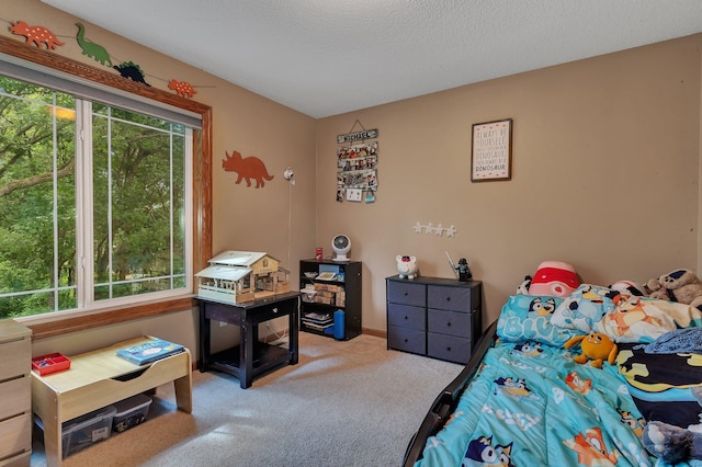 613 19th Ave SE, Saint Cloud, MN 56304 - photo 32
