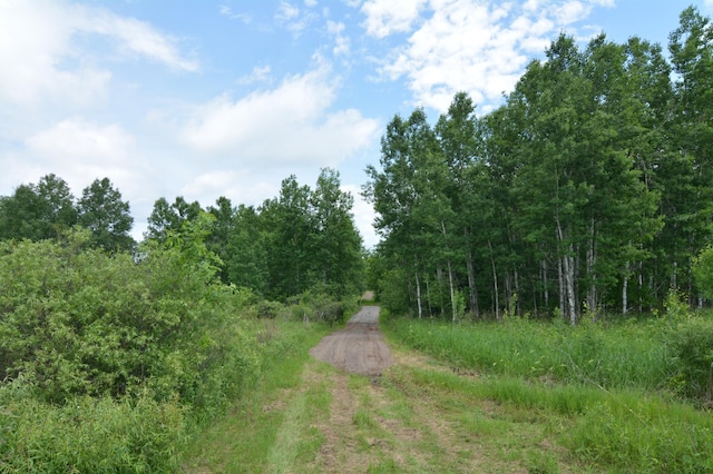 13247 130th Ave, Milaca, MN 56353 - photo 1