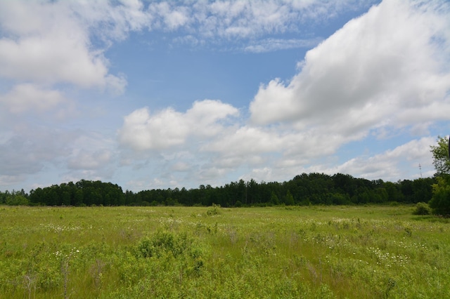 13247 130th Ave, Milaca, MN 56353 - photo 7