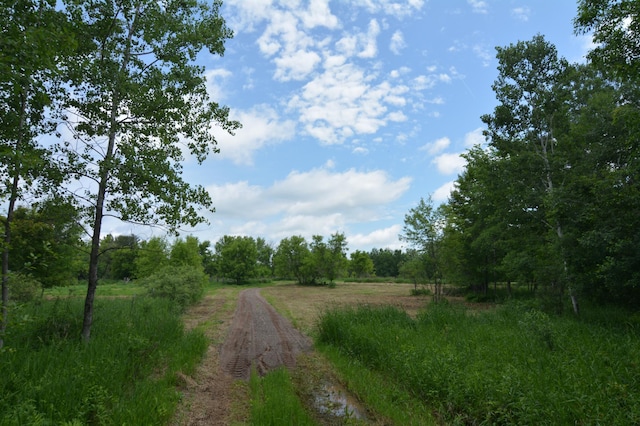 13247 130th Ave, Milaca, MN 56353 - photo 10