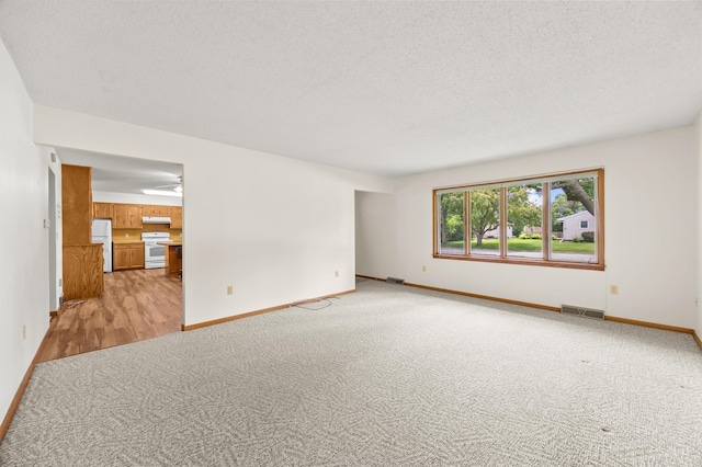 226 Ash Ave, Bird Island, MN 55310 - unfurnished room featuring light colored carpet and a textured ceiling