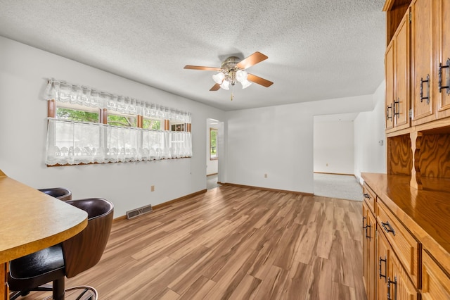 226 Ash Ave, Bird Island, MN 55310 - home office with ceiling fan, light wood-style flooring, and a textured ceiling