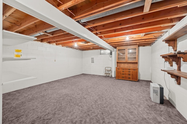 226 Ash Ave, Bird Island, MN 55310 - basement with carpet