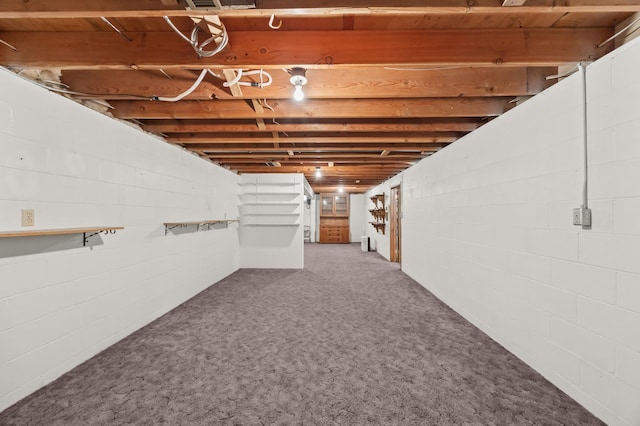 226 Ash Ave, Bird Island, MN 55310 - unfinished basement with carpet floors and concrete block wall