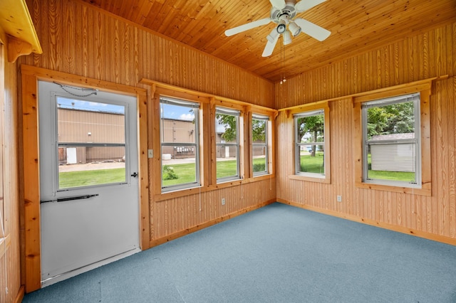 226 Ash Ave, Bird Island, MN 55310 - unfurnished sunroom featuring carpet and wood walls