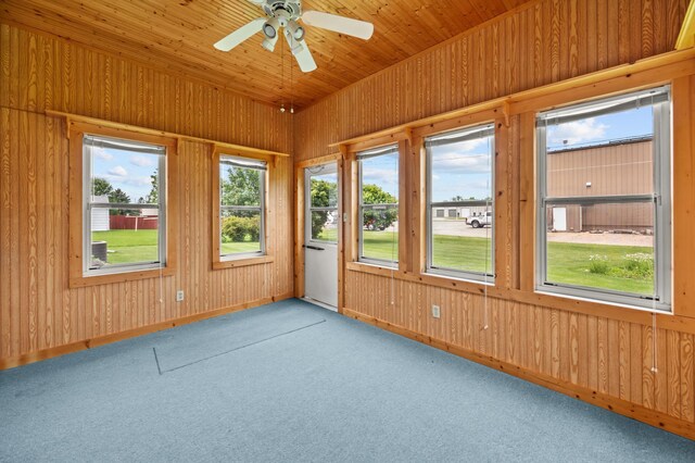 226 Ash Ave, Bird Island, MN 55310 - view of unfurnished sunroom
