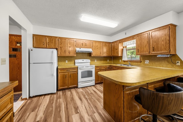 226 Ash Ave, Bird Island, MN 55310 - kitchen with white appliances, exhaust hood, brown cabinetry, a peninsula, and light wood-style floors