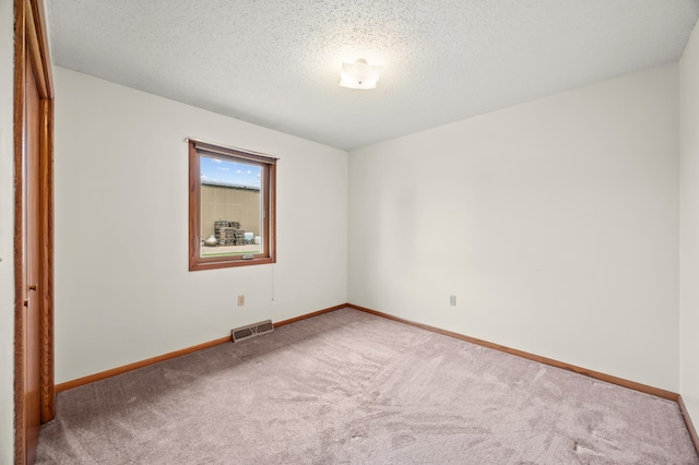 226 Ash Ave, Bird Island, MN 55310 - empty room with carpet flooring and a textured ceiling
