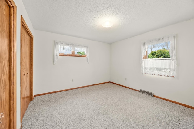226 Ash Ave, Bird Island, MN 55310 - unfurnished bedroom featuring multiple windows, carpet, a textured ceiling, and a closet