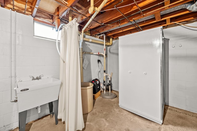 226 Ash Ave, Bird Island, MN 55310 - view of below grade area