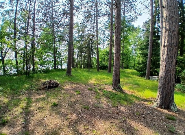 37059 Pinewood Dr, Lawrence Twp, MN 55709 - view of yard