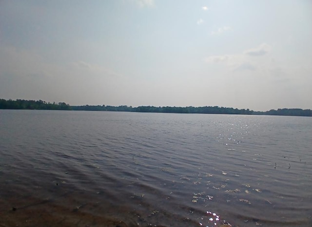 37059 Pinewood Dr, Lawrence Twp, MN 55709 - water view