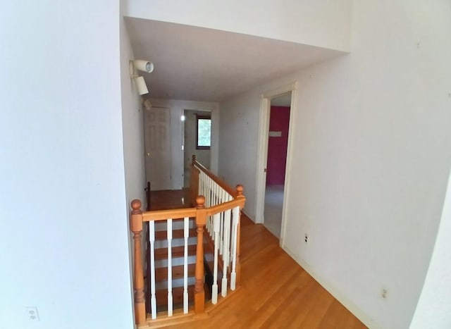 37059 Pinewood Dr, Lawrence Twp, MN 55709 - stairs featuring wood finished floors