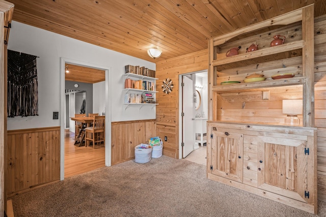 1015 Lake St N, Big Lake, MN 55309 - spare room with wood walls, wooden ceiling, carpet, and wainscoting
