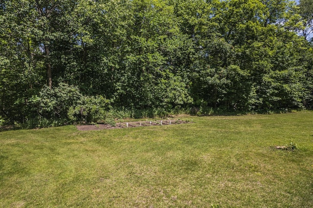 49227 US Highway 59, Dunn Twp, MN 56587 - view of grassy yard