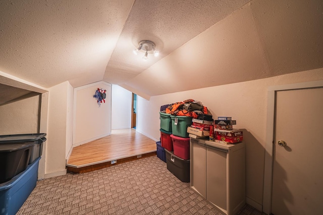 49227 US Highway 59, Dunn Twp, MN 56587 - additional living space with a textured ceiling, lofted ceiling, and carpet floors