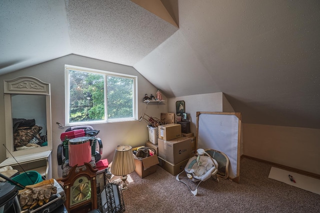 49227 US Highway 59, Dunn Twp, MN 56587 - bonus room with lofted ceiling, carpet, and a textured ceiling