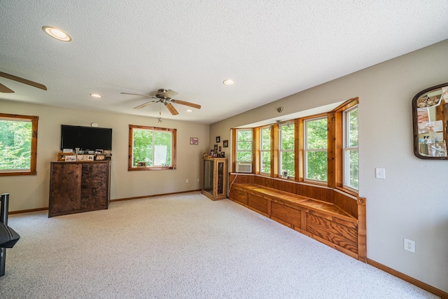 49227 US Highway 59, Dunn Twp, MN 56587 - unfurnished living room featuring ceiling fan, light carpet, a textured ceiling, and recessed lighting