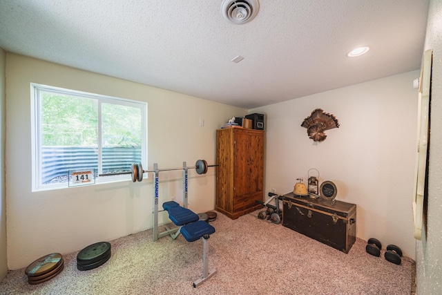 49227 US Highway 59, Dunn Twp, MN 56587 - workout room featuring carpet floors and a textured ceiling