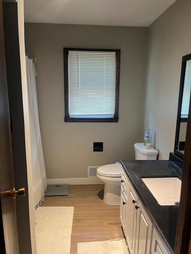 1307 20th St W, Hastings, MN 55033 - bathroom with vanity, wood finished floors, and curtained shower