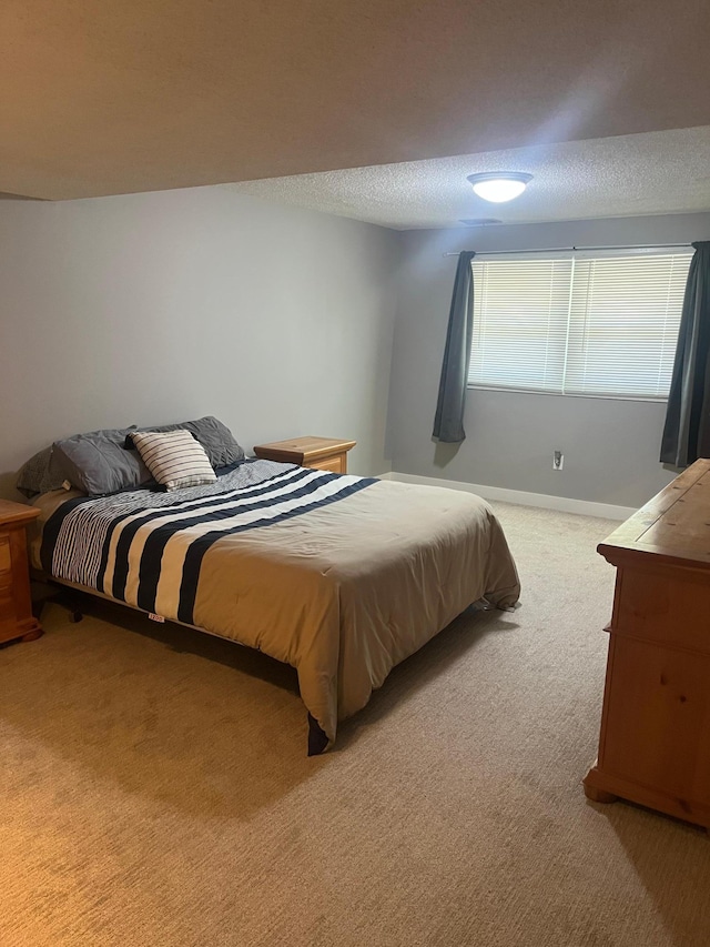 1307 20th St W, Hastings, MN 55033 - bedroom with carpet flooring and a textured ceiling
