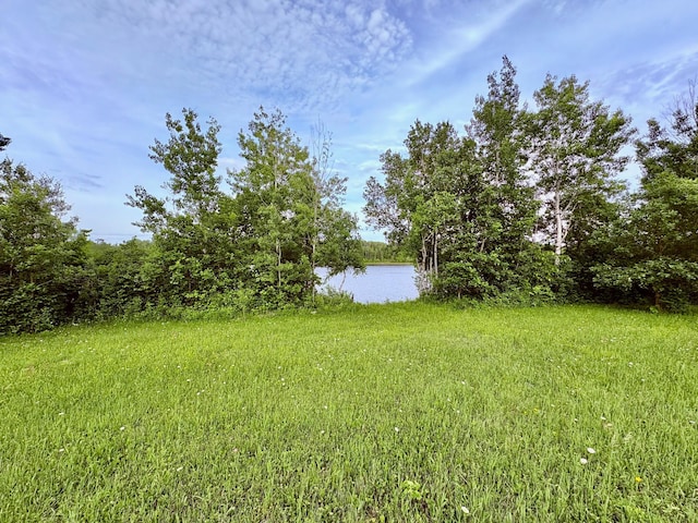 11757 State Highway 11 SE, Baudette, MN 56623