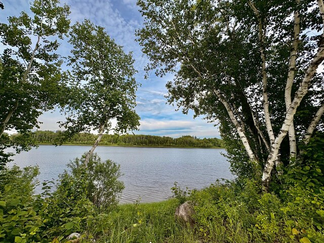 11757 State Highway 11 SE, Baudette, MN 56623