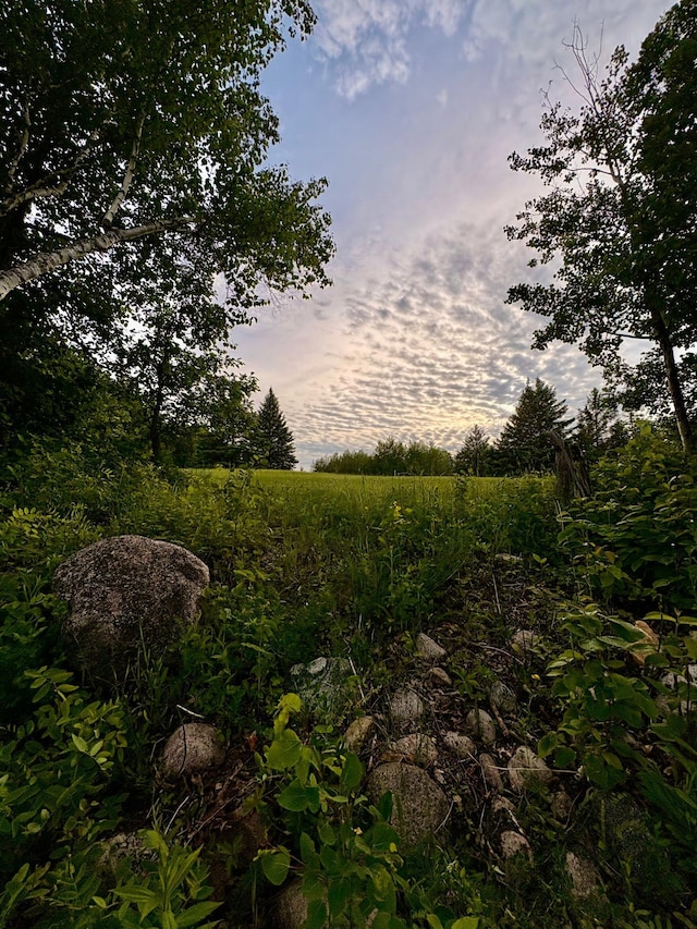11757 State Highway 11 SE, Baudette, MN 56623