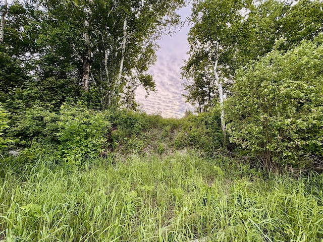 11757 State Highway 11 SE, Baudette, MN 56623