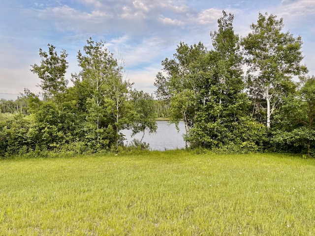 11757 State Highway 11 SE, Baudette, MN 56623