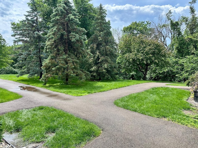 9100 Terra Verde Trl, Eden Prairie, MN 55347 - view of home's community with a yard and driveway