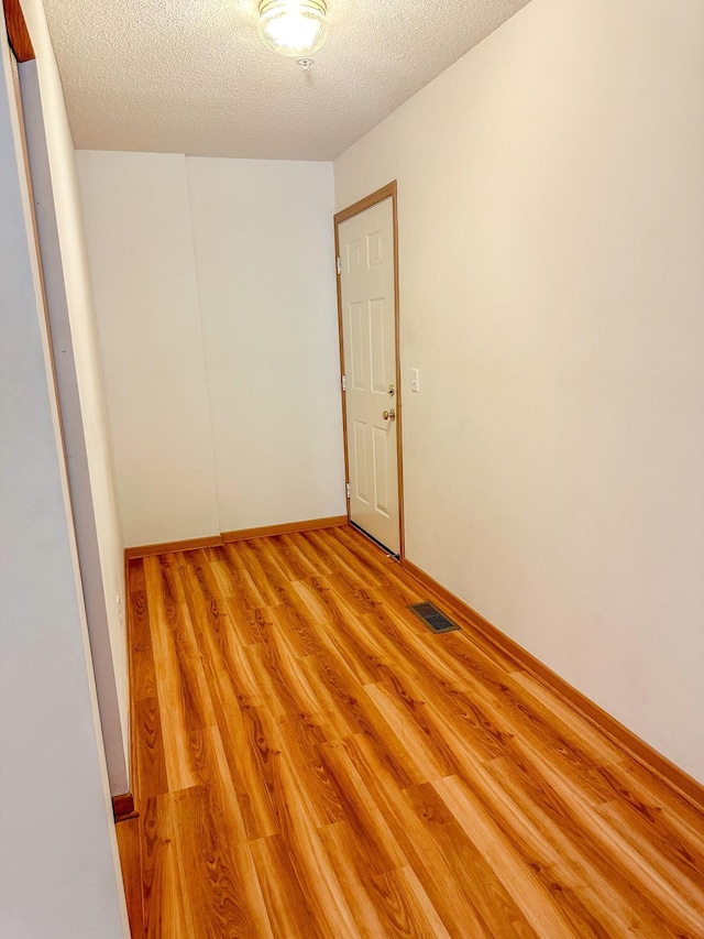 9100 Terra Verde Trl, Eden Prairie, MN 55347 - empty room with light wood-style flooring and a textured ceiling