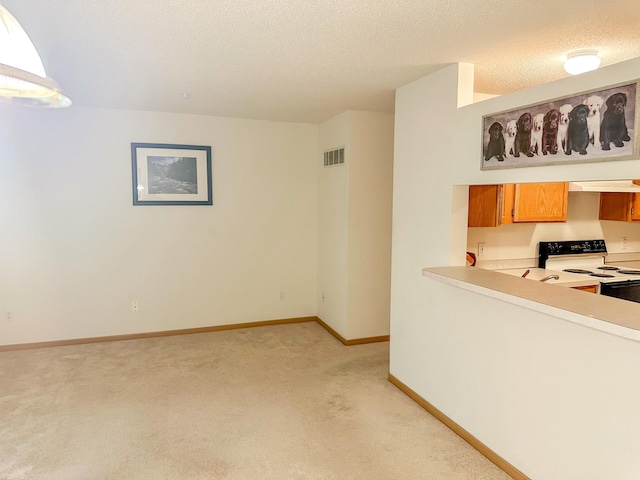 9100 Terra Verde Trl, Eden Prairie, MN 55347 - unfurnished living room featuring light colored carpet and a textured ceiling