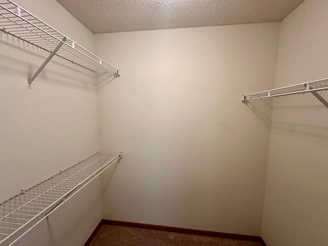 9100 Terra Verde Trl, Eden Prairie, MN 55347 - spacious closet featuring carpet