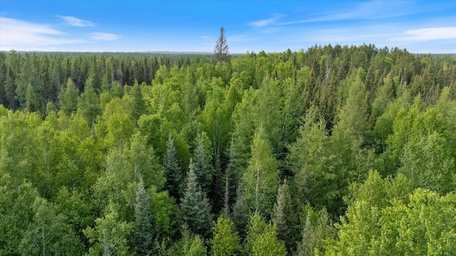 2600 Whyte Rd, Stony River Twp, MN 55616
