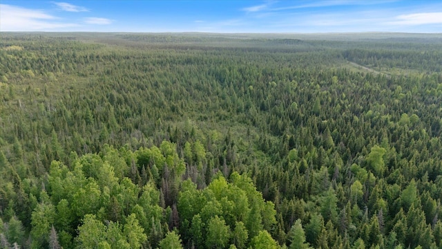 2600 Whyte Rd, Stony River Twp, MN 55616